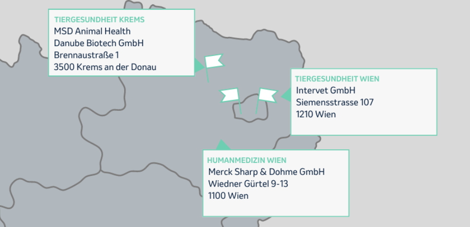 primary article image